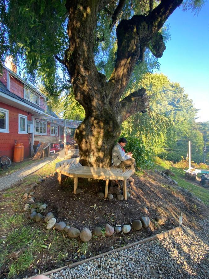 La Guapa Hostel Пуерто-Варас Екстер'єр фото
